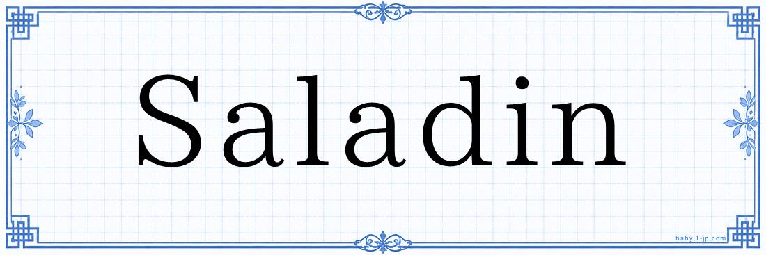 Saladin Typography