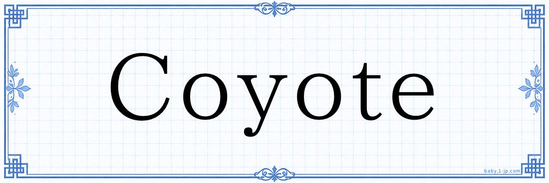 Coyote Typography