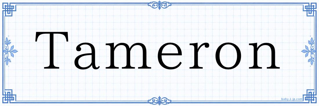 Tameron Typography