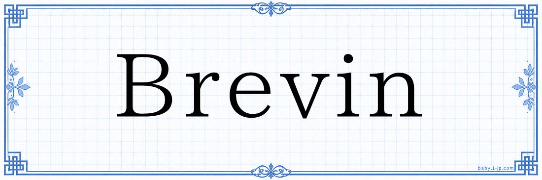 Brevin Typography