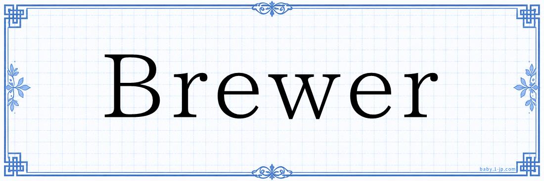 Brewer Typography