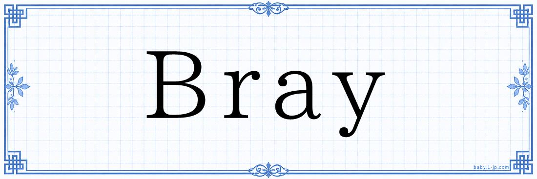 Bray Typography