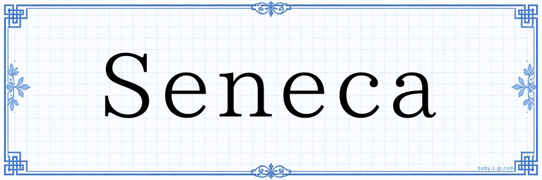 Seneca Typography
