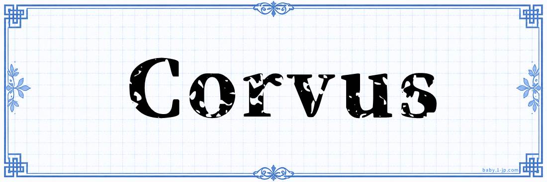 name design