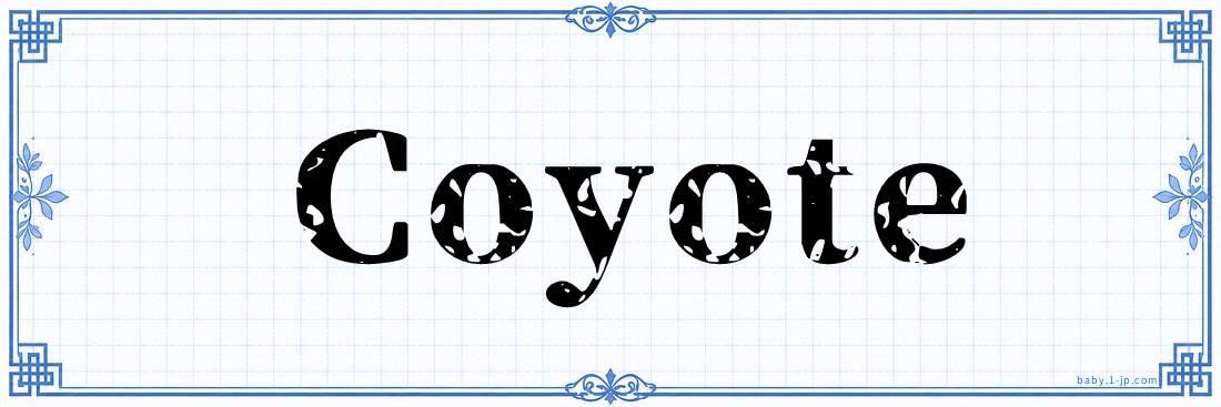 name design